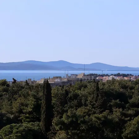Iva Zadar