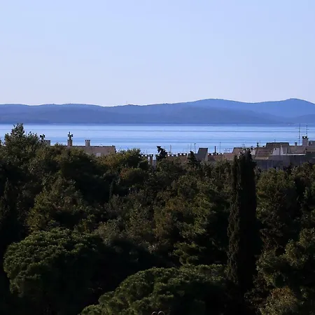 Iva Zadar