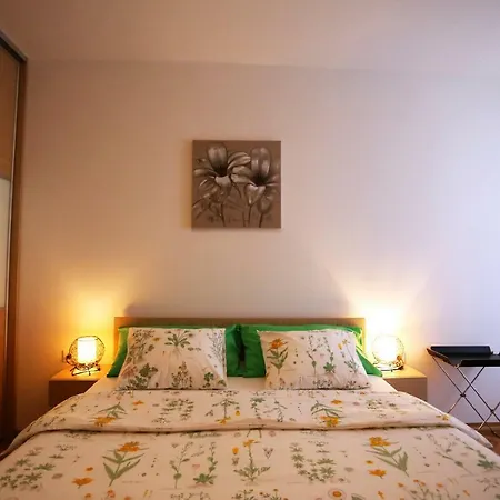 Apartment Iva *